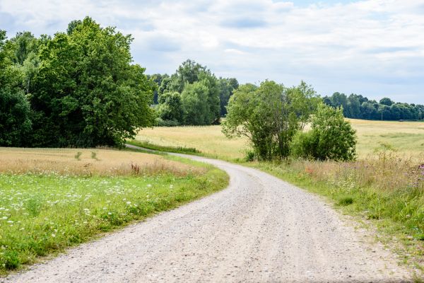Cost of Stone Driveway Repair in Sun City