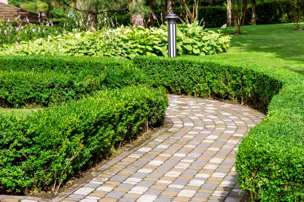 Cost of Paved Landscaping in Sun City